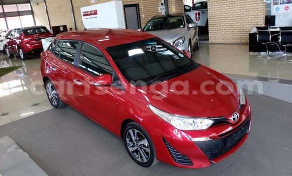 Buy Used Toyota Yaris Red Car in Manzini in Manzini Buy Used Toyota Yaris Red Car in Manzini in Manzini