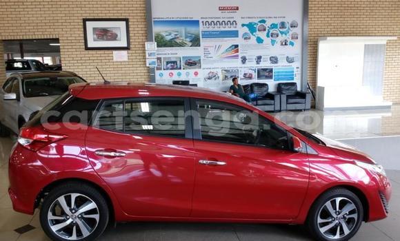 Buy Used Toyota Yaris Red Car in Manzini in Manzini Buy Used Toyota Yaris Red Car in Manzini in Manzini