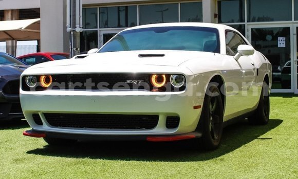 Nunua Imported Dodge Challenger White Gari ndani ya Import - Dubai nchini Hhohho Nunua Imported Dodge Challenger White Gari ndani ya Import - Dubai nchini Hhohho