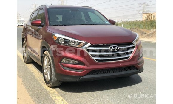 Nunua Imported Hyundai Tucson Red Gari ndani ya Import - Dubai nchini Hhohho Nunua Imported Hyundai Tucson Red Gari ndani ya Import - Dubai nchini Hhohho