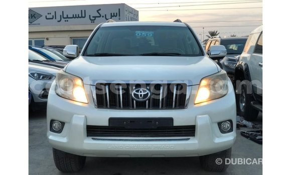 Nunua Imported Toyota Prado White Gari ndani ya Import - Dubai nchini Hhohho Nunua Imported Toyota Prado White Gari ndani ya Import - Dubai nchini Hhohho