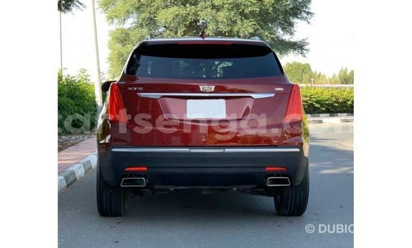 Acheter Import Voiture Cadillac XT5 Rouge à Import - Dubai, Hhohho Acheter Import Voiture Cadillac XT5 Rouge à Import - Dubai, Hhohho