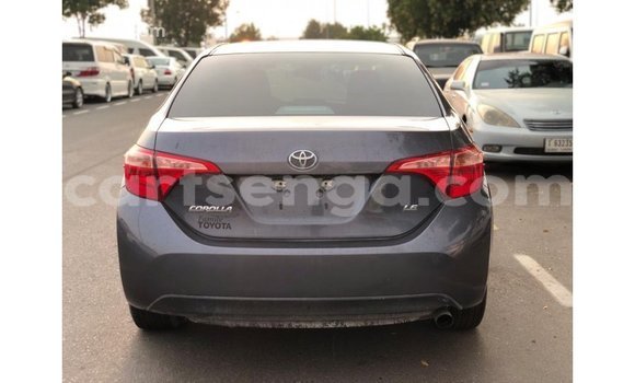 Nunua Imported Toyota Corolla Other Gari ndani ya Import - Dubai nchini Hhohho Nunua Imported Toyota Corolla Other Gari ndani ya Import - Dubai nchini Hhohho