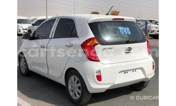 Nunua Imported Kia Picanto White Gari ndani ya Import - Dubai nchini Hhohho Nunua Imported Kia Picanto White Gari ndani ya Import - Dubai nchini Hhohho
