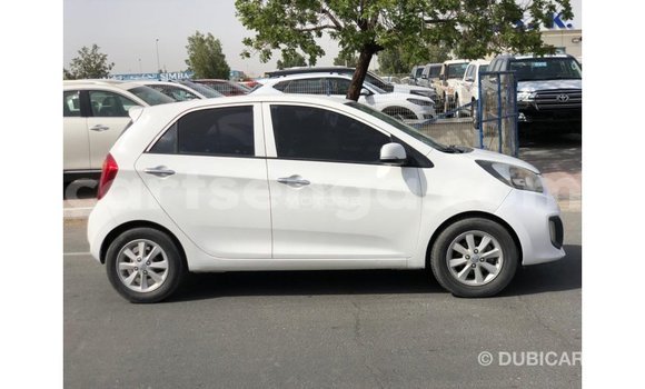 Nunua Imported Kia Picanto White Gari ndani ya Import - Dubai nchini Hhohho Nunua Imported Kia Picanto White Gari ndani ya Import - Dubai nchini Hhohho