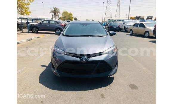 Nunua Imported Toyota Corolla Other Gari ndani ya Import - Dubai nchini Hhohho Nunua Imported Toyota Corolla Other Gari ndani ya Import - Dubai nchini Hhohho