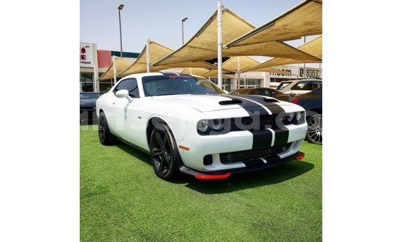 Acheter Import Voiture Dodge Challenger Blanc à Import - Dubai, Hhohho