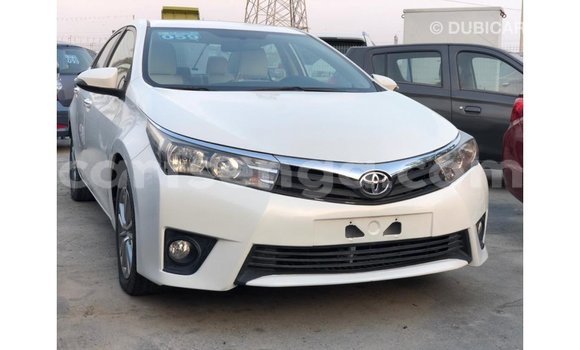 Nunua Imported Toyota Corolla White Gari ndani ya Import - Dubai nchini Hhohho Nunua Imported Toyota Corolla White Gari ndani ya Import - Dubai nchini Hhohho