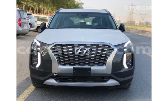 Nunua Imported Hyundai Chorus Other Lori ndani ya Import - Dubai nchini Hhohho Nunua Imported Hyundai Chorus Other Lori ndani ya Import - Dubai nchini Hhohho