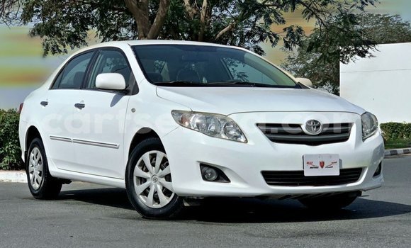 Buy Import Toyota Corolla White Car in Import - Dubai in Hhohho Buy Import Toyota Corolla White Car in Import - Dubai in Hhohho