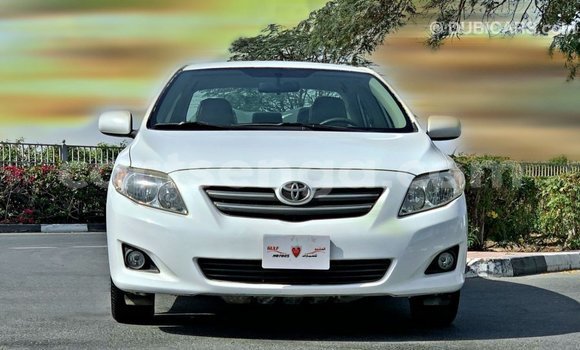 Acheter Import Voiture Toyota Corolla Blanc à Import - Dubai, Hhohho Acheter Import Voiture Toyota Corolla Blanc à Import - Dubai, Hhohho