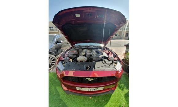 Nunua Imported Ford Mustang Red Gari ndani ya Import - Dubai nchini Hhohho Nunua Imported Ford Mustang Red Gari ndani ya Import - Dubai nchini Hhohho