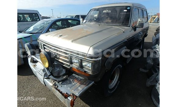 Acheter Import Voiture Toyota Land Cruiser Autre à Import - Dubai, Hhohho Acheter Import Voiture Toyota Land Cruiser Autre à Import - Dubai, Hhohho