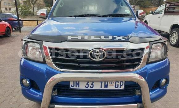 Buy Used Toyota Hillux Blue Truck in Big Bend in Lubombo