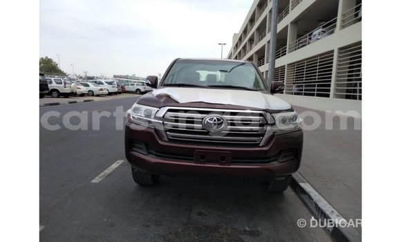 Buy Import Toyota Land Cruiser Brown Car in Import - Dubai in Hhohho Buy Import Toyota Land Cruiser Brown Car in Import - Dubai in Hhohho