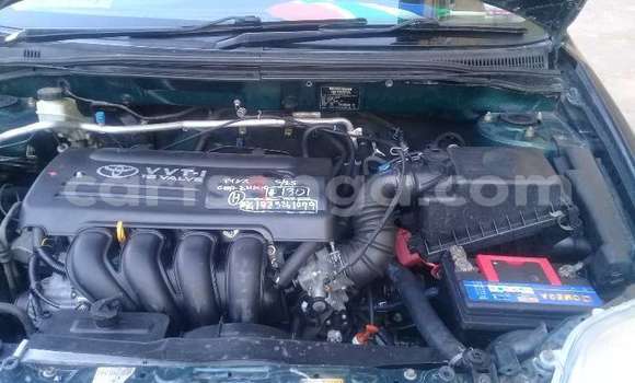 Acheter Occasion Voiture Toyota Corolla Vert à Ezulwini, Hhohho Acheter Occasion Voiture Toyota Corolla Vert à Ezulwini, Hhohho