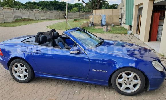 Buy Used Mercedes‒Benz SLK–Class Blue Car in Ezulwini in Hhohho
