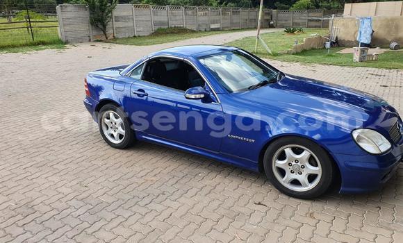 Acheter Occasion Voiture Mercedes‒Benz SLK–Class Bleu à Ezulwini, Hhohho Acheter Occasion Voiture Mercedes‒Benz SLK–Class Bleu à Ezulwini, Hhohho