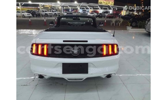 Buy Import Ford Mustang White Car in Import - Dubai in Hhohho Buy Import Ford Mustang White Car in Import - Dubai in Hhohho