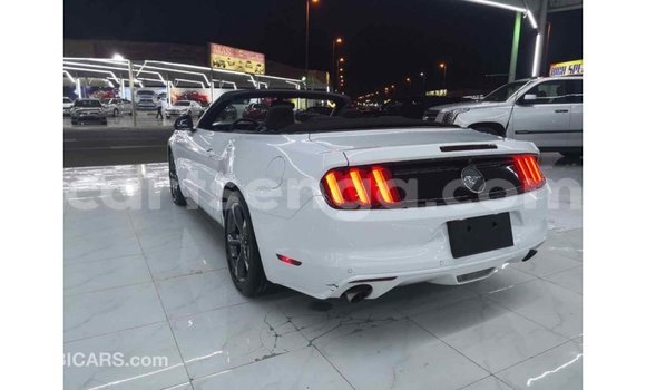 Buy Import Ford Mustang White Car in Import - Dubai in Hhohho Buy Import Ford Mustang White Car in Import - Dubai in Hhohho