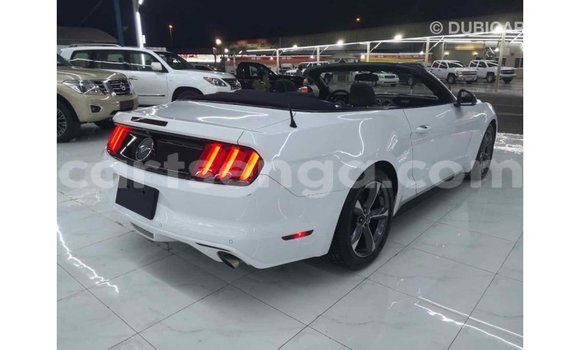 Buy Import Ford Mustang White Car in Import - Dubai in Hhohho Buy Import Ford Mustang White Car in Import - Dubai in Hhohho
