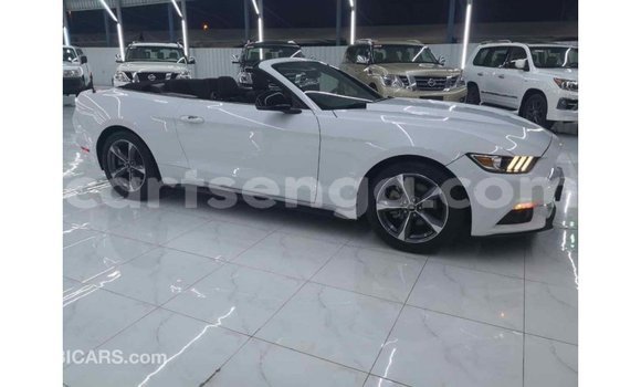 Buy Import Ford Mustang White Car in Import - Dubai in Hhohho Buy Import Ford Mustang White Car in Import - Dubai in Hhohho