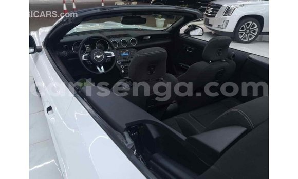 Buy Import Ford Mustang White Car in Import - Dubai in Hhohho Buy Import Ford Mustang White Car in Import - Dubai in Hhohho