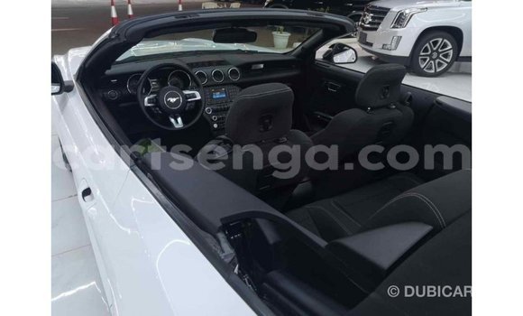 Buy Import Ford Mustang White Car in Import - Dubai in Hhohho Buy Import Ford Mustang White Car in Import - Dubai in Hhohho