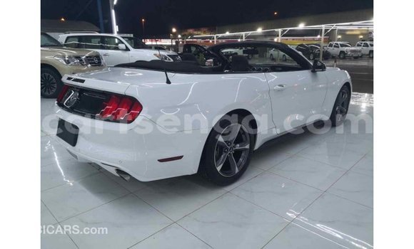 Buy Import Ford Mustang White Car in Import - Dubai in Hhohho Buy Import Ford Mustang White Car in Import - Dubai in Hhohho