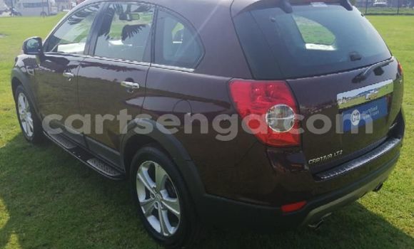 Buy Used Chevrolet Captiva Other Car in Big Bend in Lubombo District Buy Used Chevrolet Captiva Other Car in Big Bend in Lubombo District