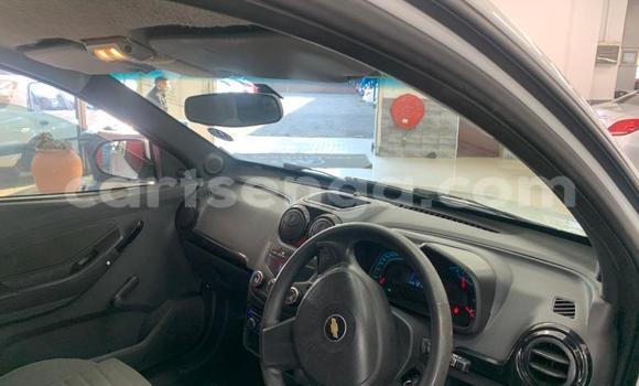 Buy Used Opel Corsa White Car in Big Bend in Lubombo District Buy Used Opel Corsa White Car in Big Bend in Lubombo District