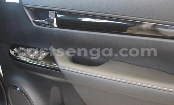 Buy Used Toyota Hilux Other Car in Big Bend in Lubombo District Buy Used Toyota Hilux Other Car in Big Bend in Lubombo District