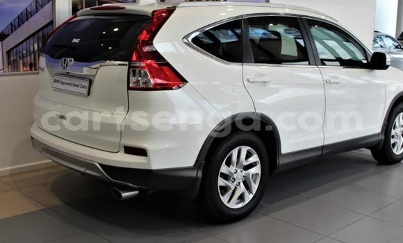 Buy Used Honda CR–V White Car in Import - Dubai in Hhohho Buy Used Honda CR–V White Car in Import - Dubai in Hhohho