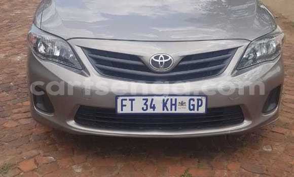 Acheter Occasion Voiture Toyota Corolla Gris à Ezulwini, Hhohho