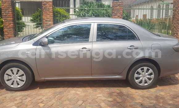 Acheter Occasion Voiture Toyota Corolla Gris à Ezulwini, Hhohho Acheter Occasion Voiture Toyota Corolla Gris à Ezulwini, Hhohho