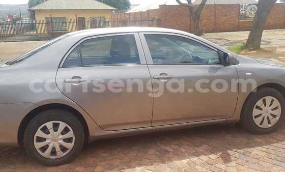 Acheter Occasion Voiture Toyota Corolla Gris à Ezulwini, Hhohho Acheter Occasion Voiture Toyota Corolla Gris à Ezulwini, Hhohho