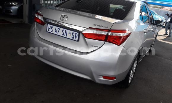 Nunua Ilio tumika Toyota Corolla Silver Gari ndani ya Ezulwini nchini Hhohho