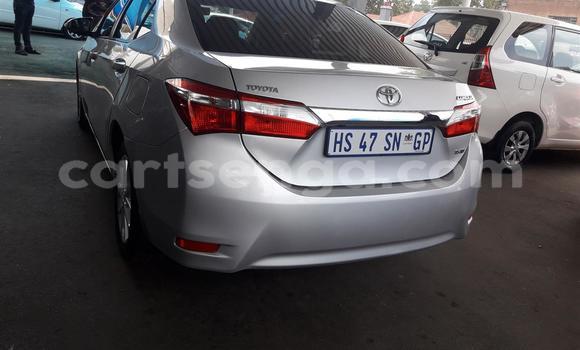 Acheter Occasion Voiture Toyota Corolla Gris à Ezulwini, Hhohho Acheter Occasion Voiture Toyota Corolla Gris à Ezulwini, Hhohho