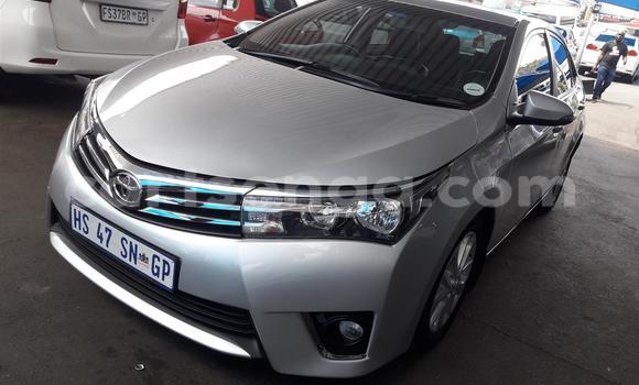 Acheter Occasion Voiture Toyota Corolla Gris à Ezulwini, Hhohho Acheter Occasion Voiture Toyota Corolla Gris à Ezulwini, Hhohho