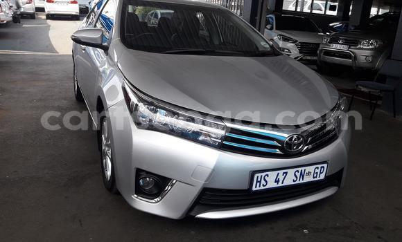 Acheter Occasion Voiture Toyota Corolla Gris à Ezulwini, Hhohho Acheter Occasion Voiture Toyota Corolla Gris à Ezulwini, Hhohho