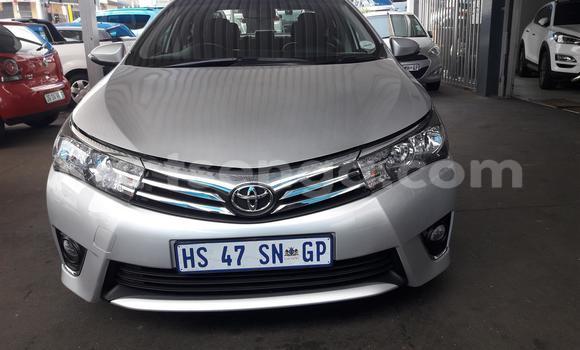 Acheter Occasion Voiture Toyota Corolla Gris à Ezulwini, Hhohho Acheter Occasion Voiture Toyota Corolla Gris à Ezulwini, Hhohho