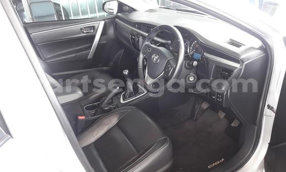 Acheter Occasion Voiture Toyota Corolla Gris à Ezulwini, Hhohho Acheter Occasion Voiture Toyota Corolla Gris à Ezulwini, Hhohho