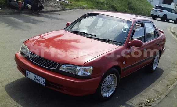 Acheter Occasion Voiture Toyota Corolla Rouge à Ezulwini, Hhohho Acheter Occasion Voiture Toyota Corolla Rouge à Ezulwini, Hhohho