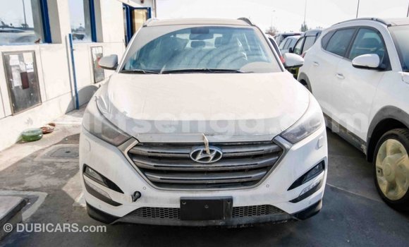 Nunua Imported Hyundai Tucson White Gari ndani ya Import - Dubai nchini Hhohho Nunua Imported Hyundai Tucson White Gari ndani ya Import - Dubai nchini Hhohho