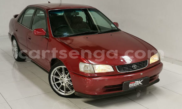 Buy Used Toyota Corolla Red Car in Bulembu in Hhohho