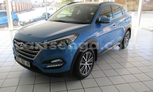 Buy Used Hyundai Tucson Blue Car in Manzini in Manzini