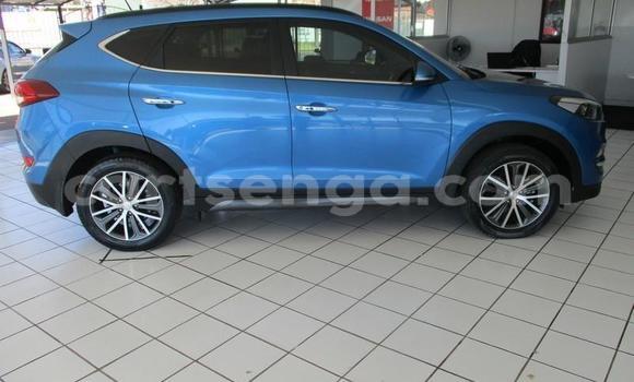 Buy Used Hyundai Tucson Blue Car in Manzini in Manzini Buy Used Hyundai Tucson Blue Car in Manzini in Manzini