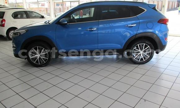 Buy Used Hyundai Tucson Blue Car in Manzini in Manzini Buy Used Hyundai Tucson Blue Car in Manzini in Manzini