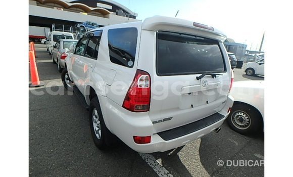 Acheter Import Voiture Toyota Hilux Blanc à Import - Dubai, Hhohho Acheter Import Voiture Toyota Hilux Blanc à Import - Dubai, Hhohho