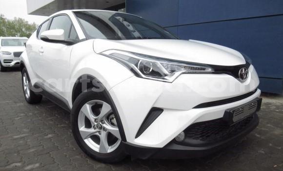 Buy Used Toyota C-HR White Car in Ezulwini in Hhohho Buy Used Toyota C-HR White Car in Ezulwini in Hhohho